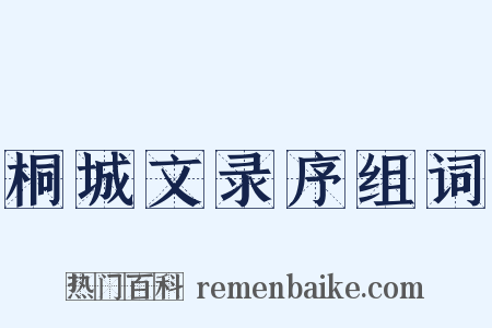 桐城文录序组词是什么意思的图片